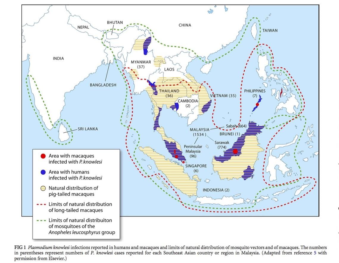 kart av malaysia malaria
