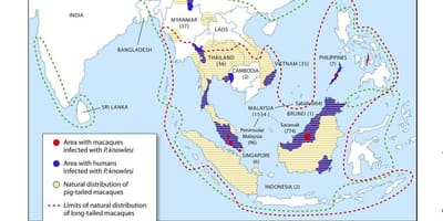 Kart av malaysia malaria
